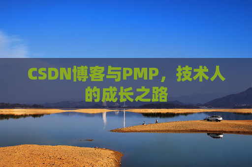 CSDN博客与PMP,技术人的成长之路